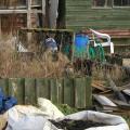 New Rodent Control Operative On Allotment Site