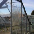 Wind Damage to Greenhouse