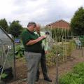 Judging the Allotment Competition