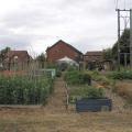Allotment Competition Winner!