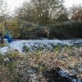 Frost lingers during the cold snap