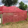 Brassica Tent