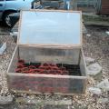 The Coldframe