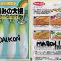 Daikon (Japanese Radish)