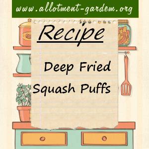 Deep Fried Squash Puffs