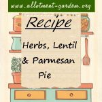 Herbs Lentil Parmesan Pie