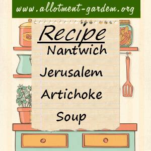 Nantwich Jerusalem Artichoke Soup
