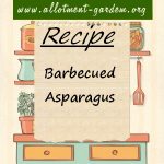 Barbecued Asparagus Recipe