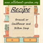 Broccoli or Cauliflower and Stilton Soup Recipe