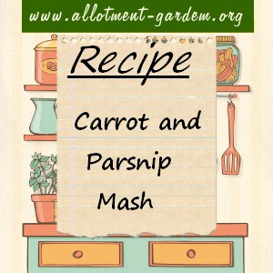 carrot and parsnip mash