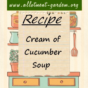 cream of cucumber soup