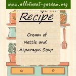 Cream of Nettle and Asparagus Soup Recipe