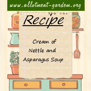 cream of nettle and asparagus soup
