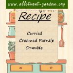 Curried Creamed Parsnip Crumble Recipe