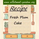 Fresh Plum Cake Recipe