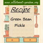 Green Bean Pickle Recipe