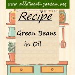 Green Beans in Oil Recipe