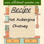 Hot Aubergine Chutney Recipe