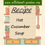 Hot Cucumber Soup Recipe