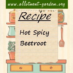 hot spicy beetroot