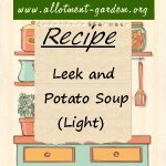Leek and Potato Soup Light Recipe