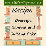 Overripe Banana and Sultana Cake Recipe