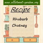 Rhubarb Chutney Recipe