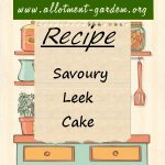 Savoury Leek Cake Recipe