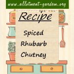 Spiced Rhubarb Chutney Recipe