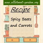 Spicy Beets & Carrots Recipe
