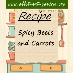spicy beets and carrots