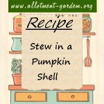 Stew in a Pumpkin Shell Recipe