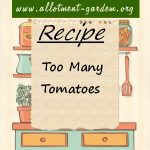 Too Many Tomatoes Recipe