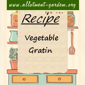 vegetable gratin