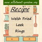 Welsh Fried Leek Rings Recipe