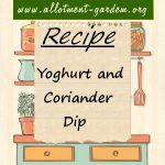 Yoghurt and Coriander Dip (for Asparagus) Recipe