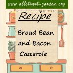Broad Bean and Bacon Casserole Recipe