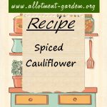 Spiced Cauliflower Recipe