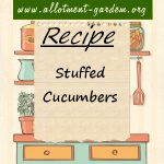 Stuffed Cucumbers Recipe