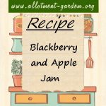 Blackberry and Apple Jam Recipe