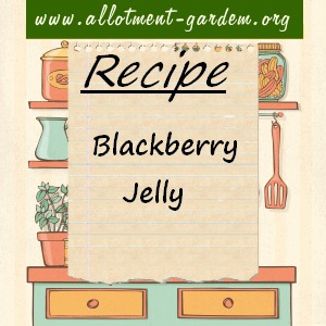 Blackberry Jelly Recipe