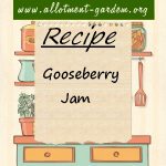 Gooseberry Jam Recipe
