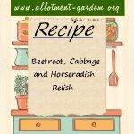 Beetroot, Cabbage and Horseradish Relish Recipe