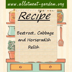 beetroot, cabbage and horseradish relish
