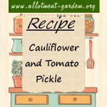Cauliflower and Tomato Pickle Recipe