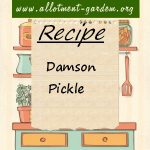 Damson Pickle Recipe