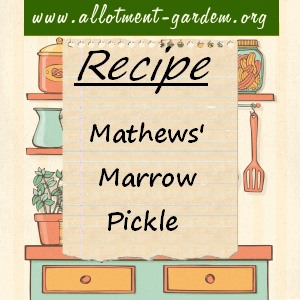 mathews' marrow pickle