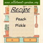 Peach Pickle Recipe