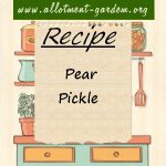 Pear Pickle Recipe