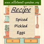 Spiced Pickled Eggs Recipe